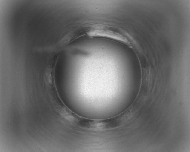 X0000070380313200606091132