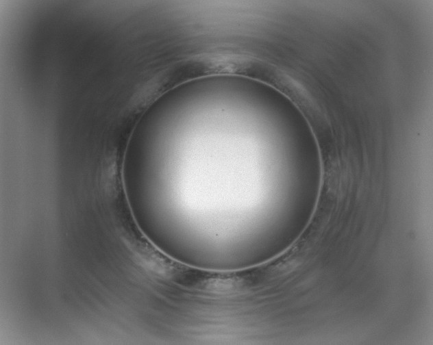 X0000070380314200606091132