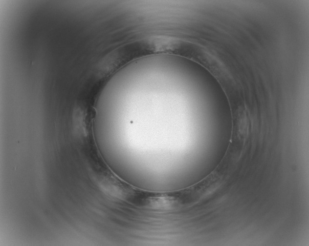 X0000070380316200606091132