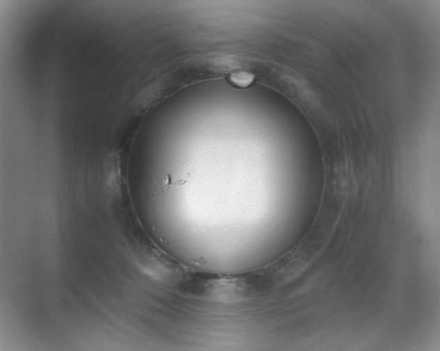 X0000070380320200606091132