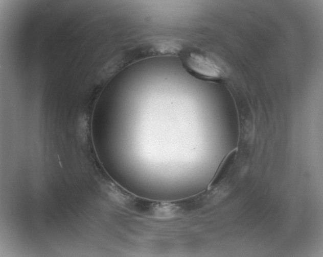 X0000070380321200606091132