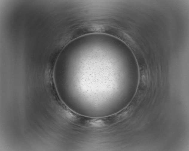 X0000070380322200606091132