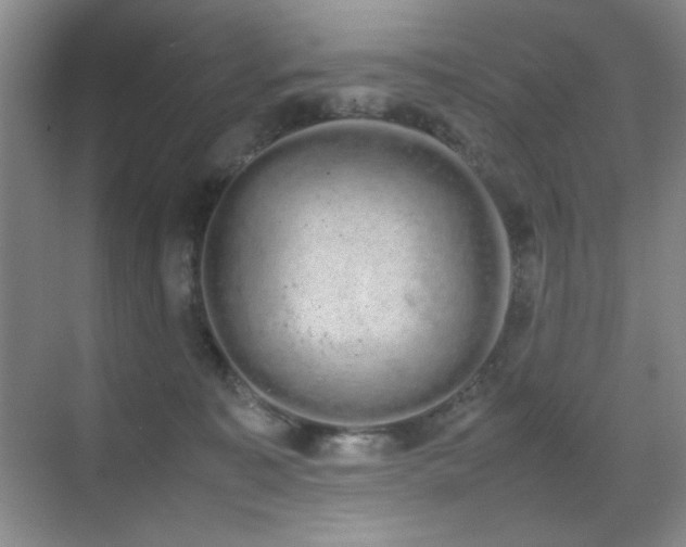 X0000070380323200606091132