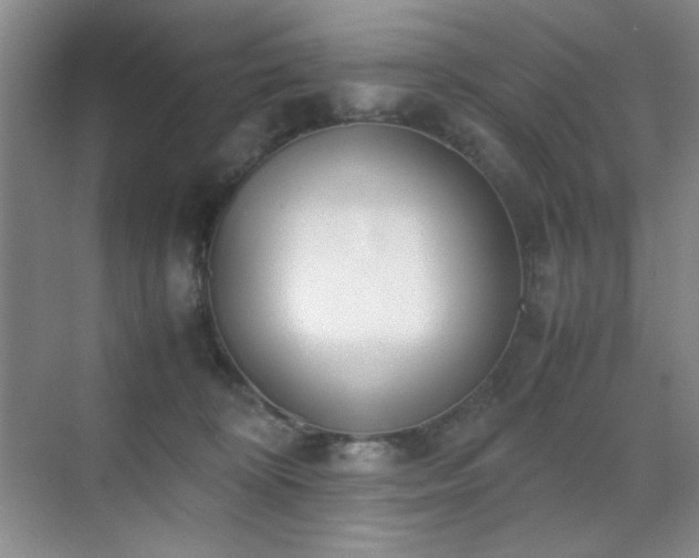 X0000070380324200606091132