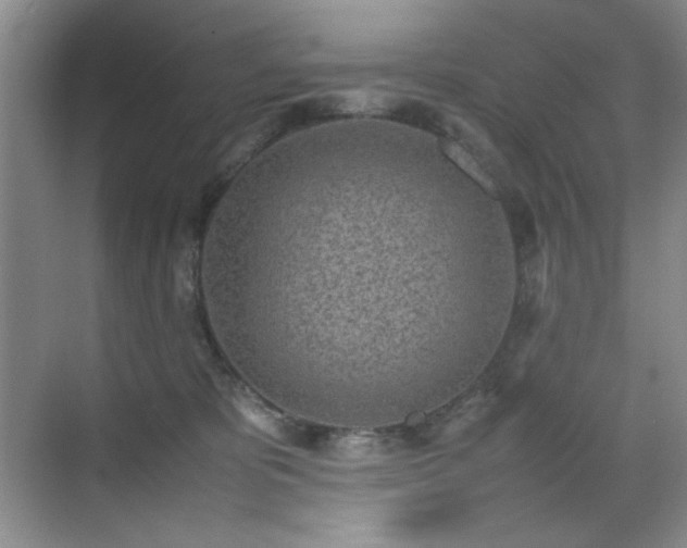 X0000070380325200606091132