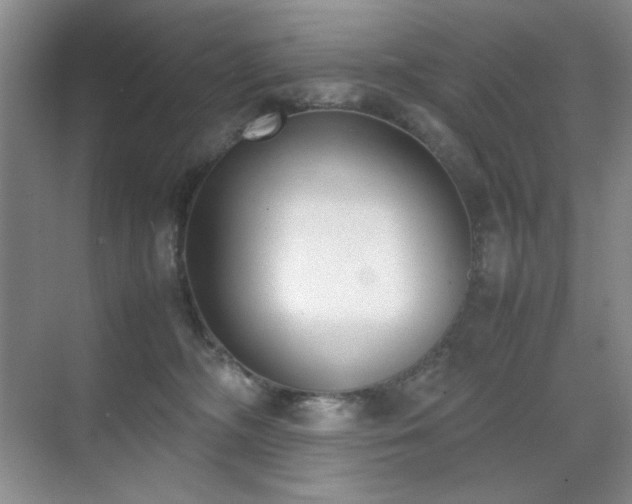 X0000070380326200606091132