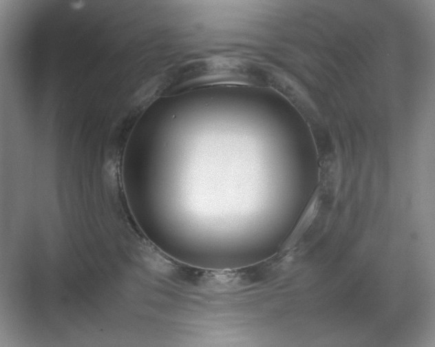 X0000070380329200606091132