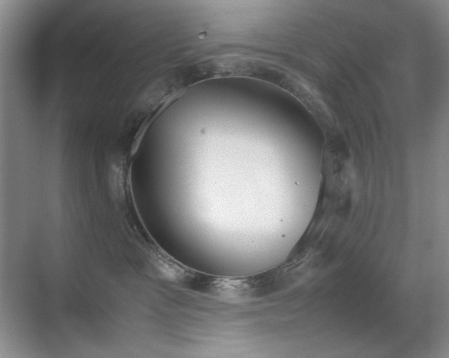 X0000070380333200606091132