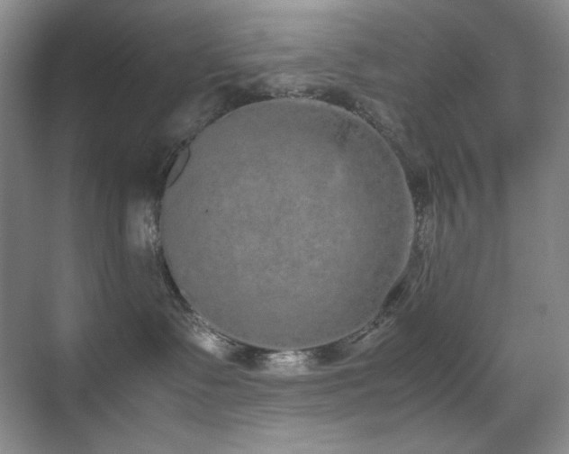 X0000070380335200606091132