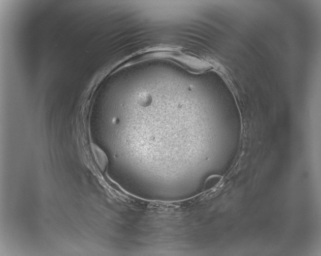 X0000070380337200606091131