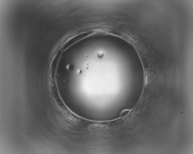 X0000070380339200606091131