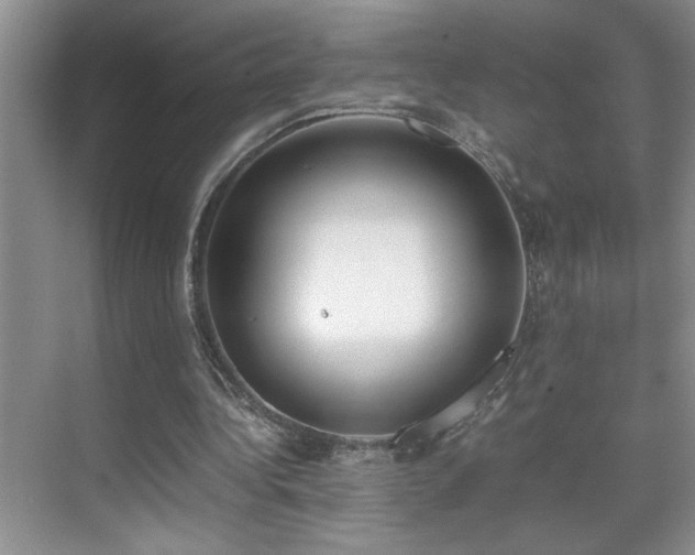 X0000070380340200606091131