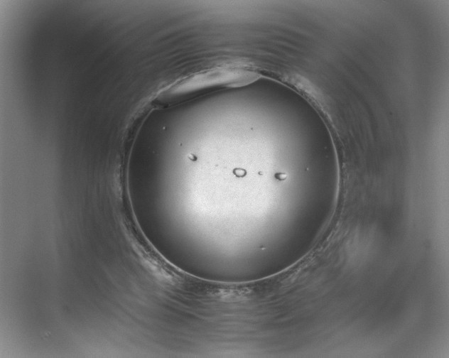 X0000070380345200606091131