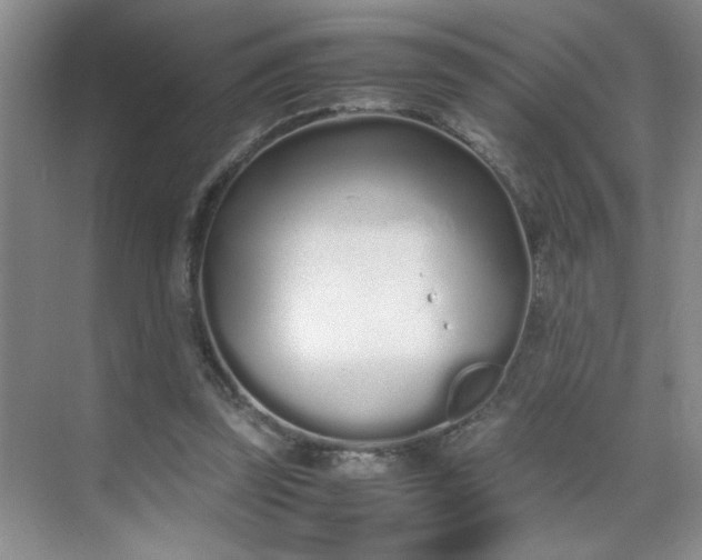 X0000070380347200606091131