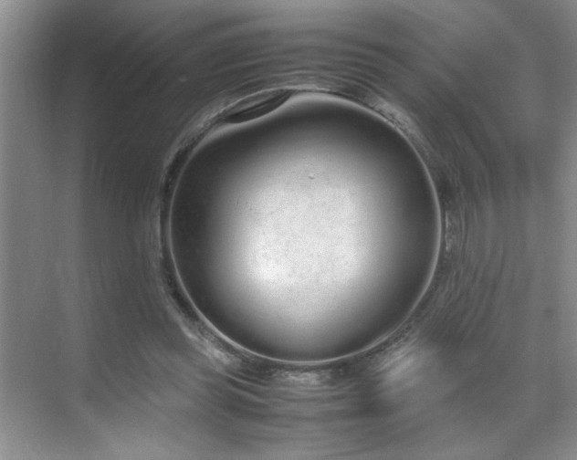 X0000070380349200606091131