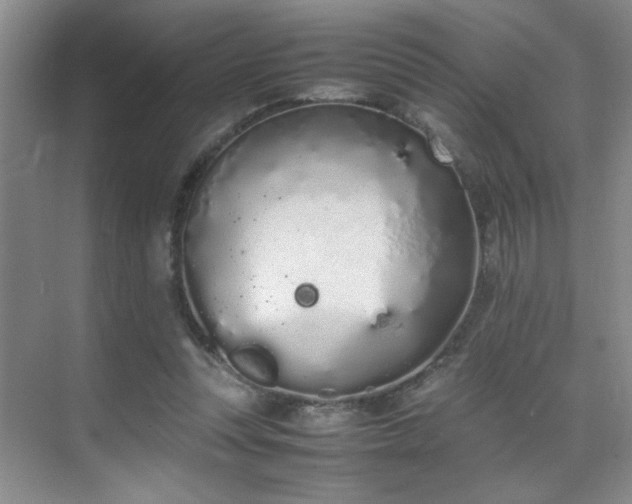 X0000070380351200606091131