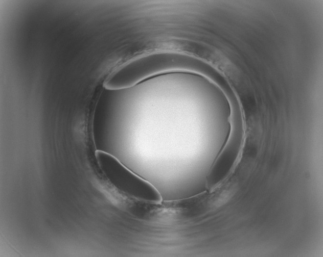 X0000070380352200606091131