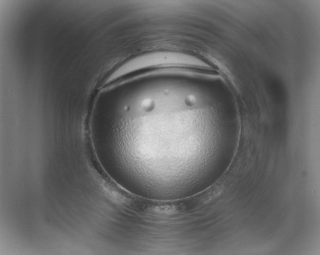 X0000070380353200606091131