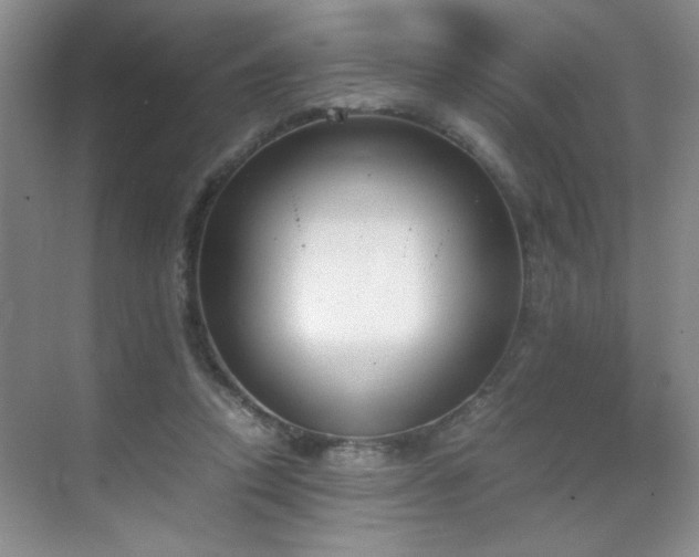 X0000070380354200606091131