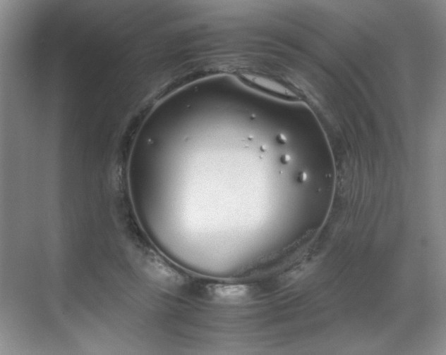 X0000070380355200606091131