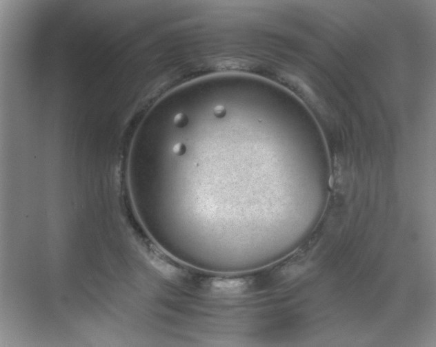 X0000070380357200606091131