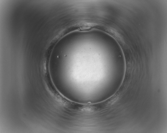 X0000070380358200606091131