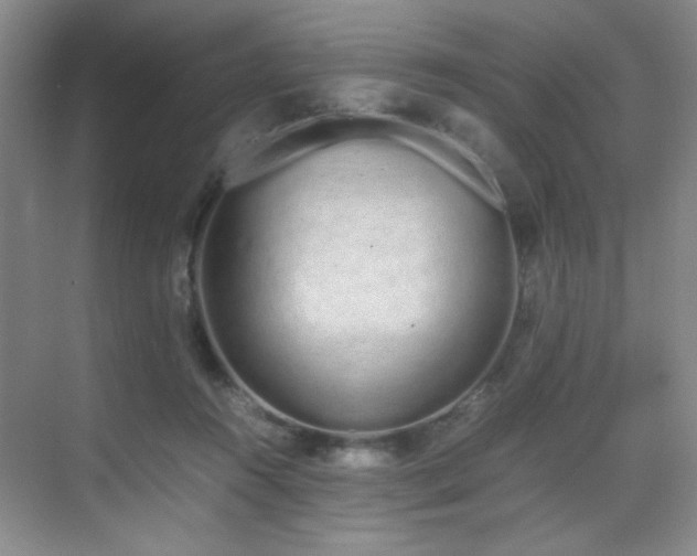 X0000070380360200606091131