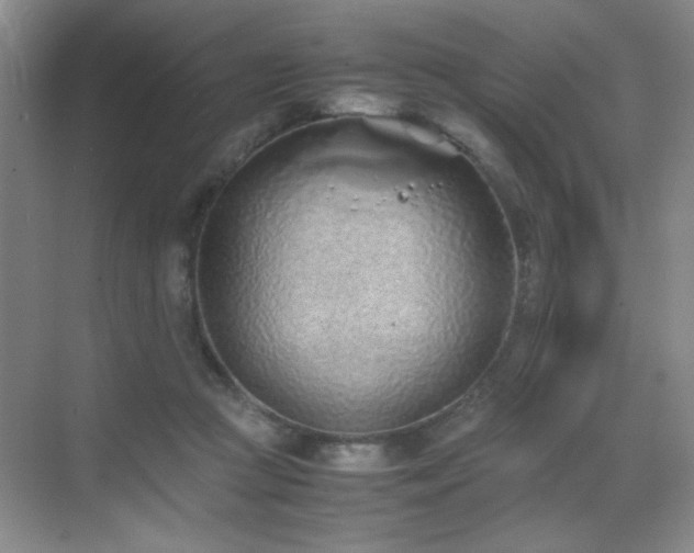 X0000070380361200606091131