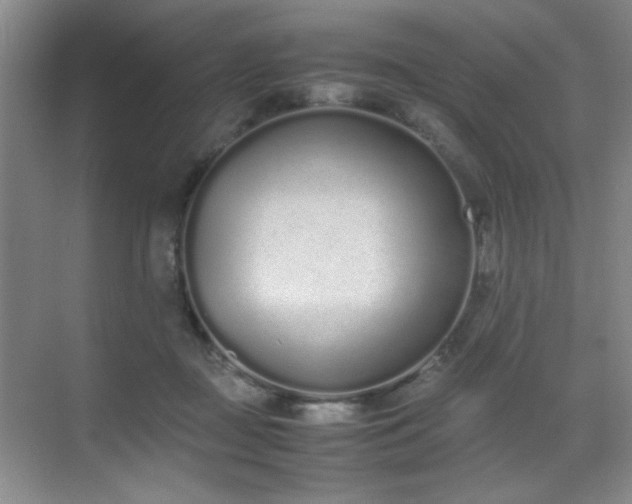 X0000070380363200606091131