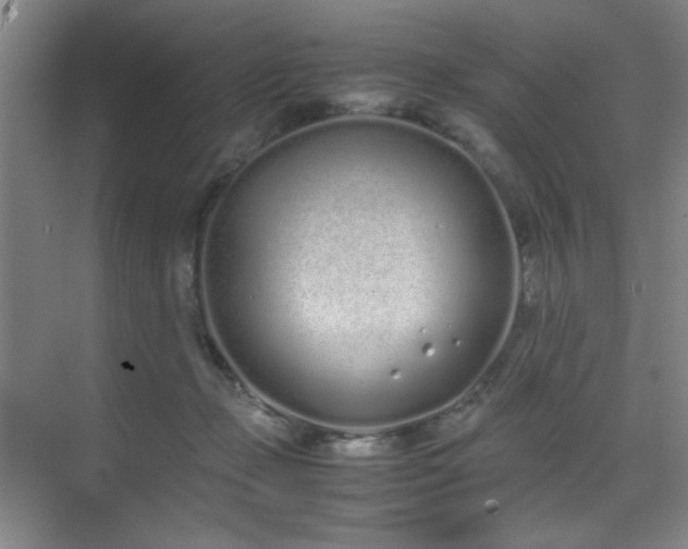 X0000070380365200606091131