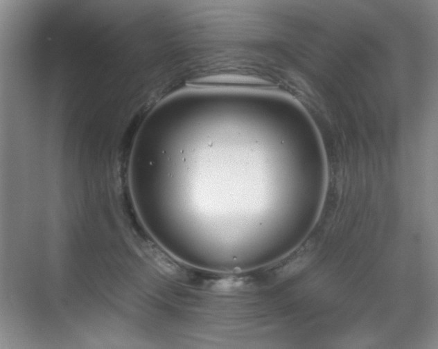 X0000070380366200606091131