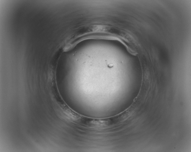 X0000070380367200606091131