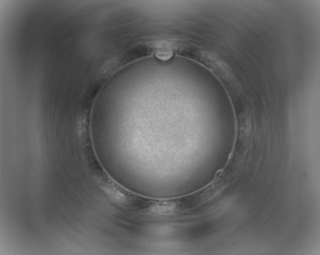 X0000070380369200606091131