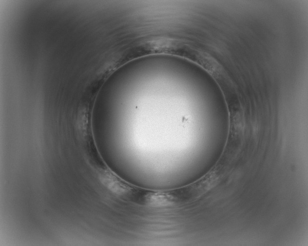 X0000070380372200606091131