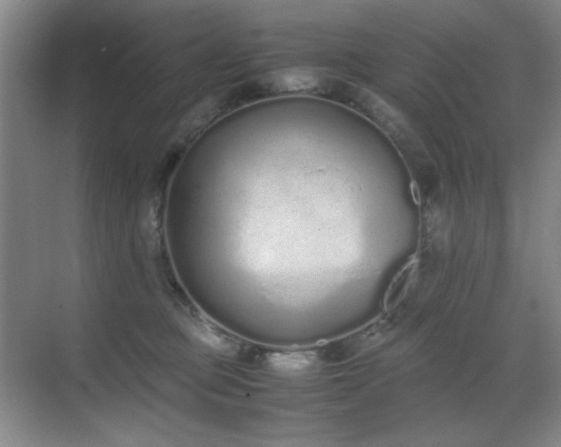 X0000070380373200606091131