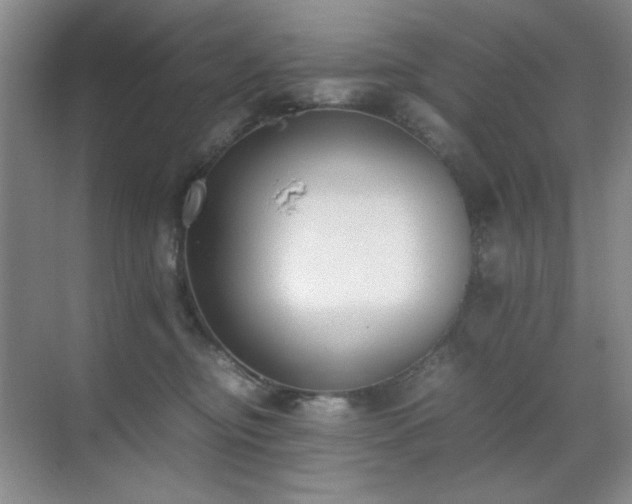 X0000070380374200606091131