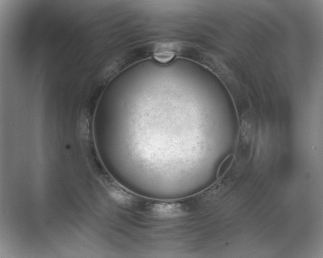 X0000070380375200606091131