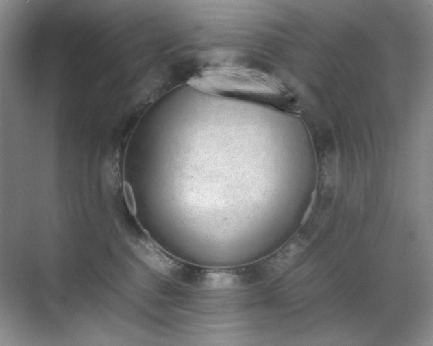 X0000070380376200606091131