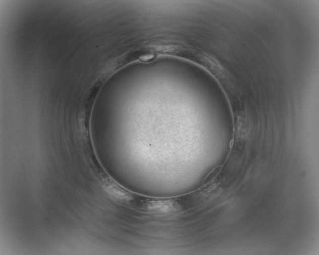 X0000070380377200606091131