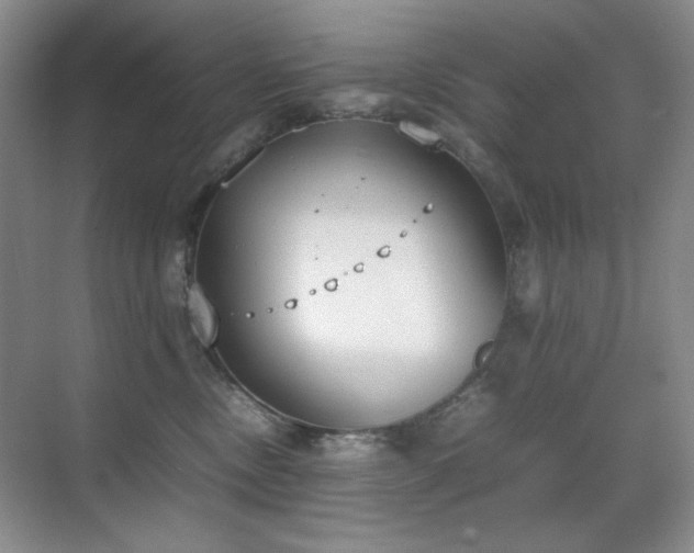 X0000070380378200606091131