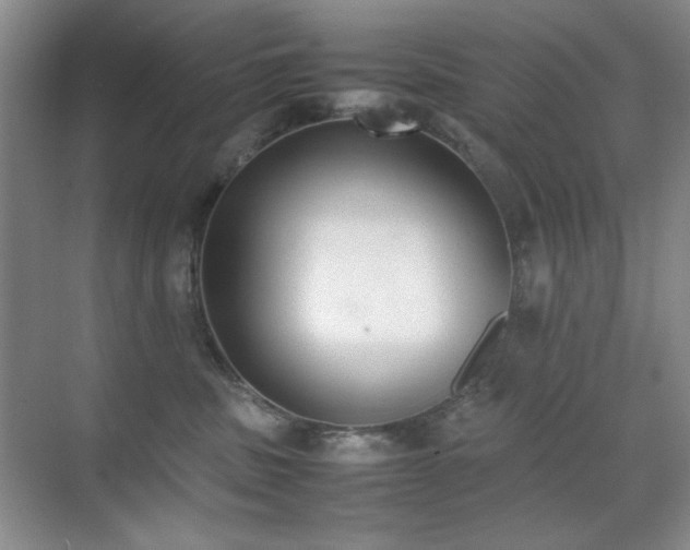 X0000070380379200606091131