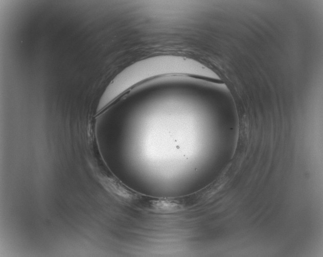 X0000070380380200606091131