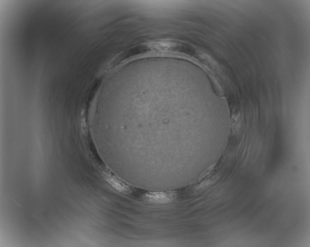 X0000070380381200606091132