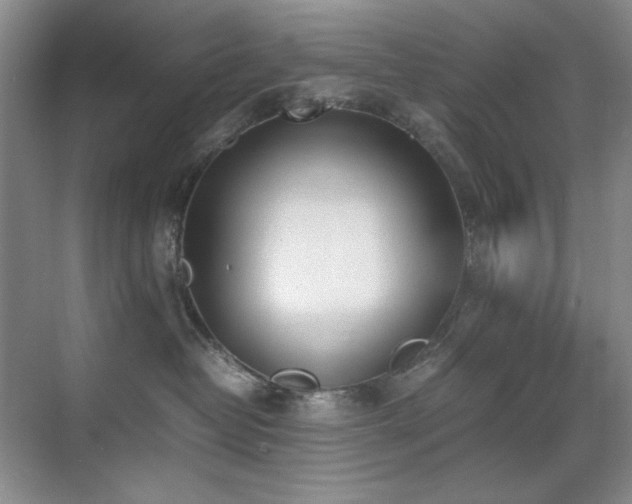 X0000070380382200606091132