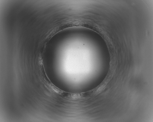 X0000070380384200606091132