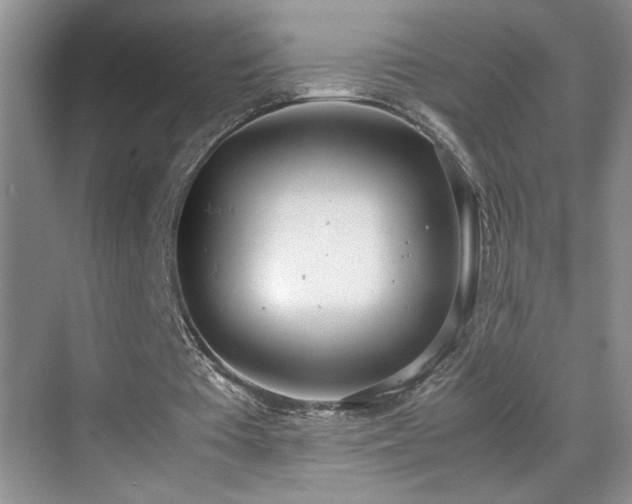 X0000070380385200606091131