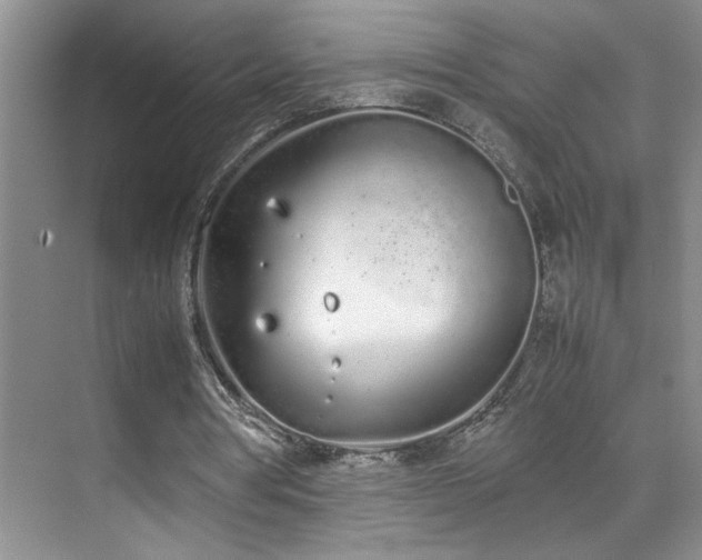 X0000070380386200606091131