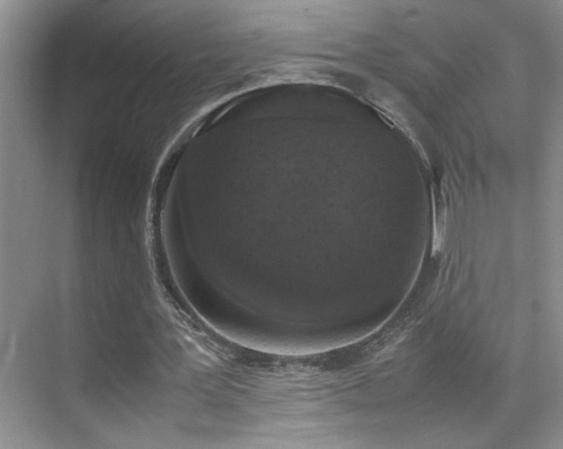 X0000070380387200606091131