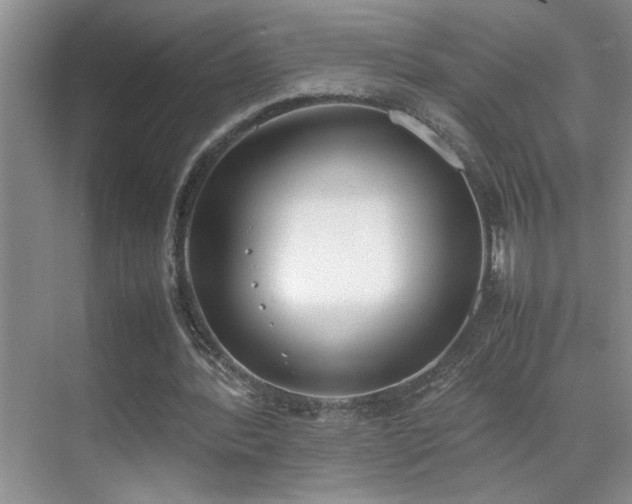 X0000070380388200606091131