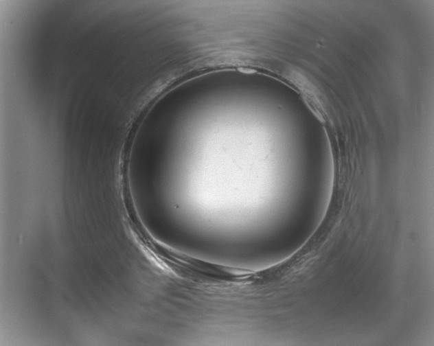 X0000070380389200606091131